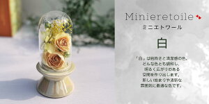 ~j Gg[ {gt[ Zbg vU[uht[   o 킢 җj   L  j ԍ    CG[ F Ǌ| Ď  j e