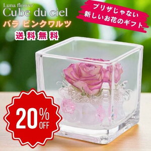 yX[p[Z[Ԃ̂20OFFzLufVF o sNc {gt[vU[uht[ v[g  o a Mtg   ͂Ȃ  a ސE