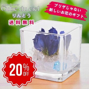 yX[p[Z[Ԃ̂20OFFzLufVF ǂ {gt[vU[uht[ v[g  o a Mtg   ͂Ȃ  a ސE  j