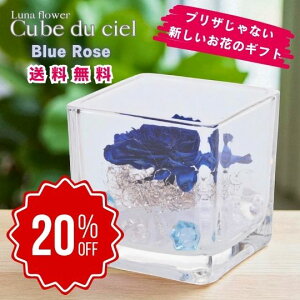 yX[p[Z[Ԃ̂20OFFzLufVF u[[Y {gt[vU[uht[ v[g  o a Mtg   ͂Ȃ  a ސE 