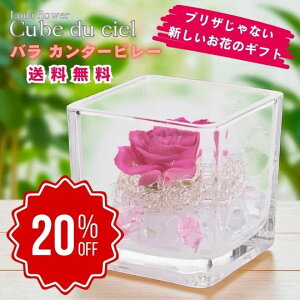 yX[p[Z[Ԃ̂20OFFzLufVF o J^[r {gt[vU[uht[ v[g  o a Mtg   ͂Ȃ  a ސE