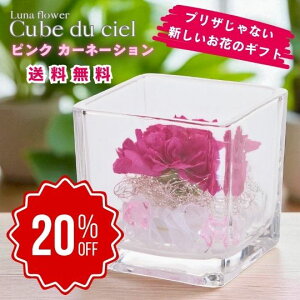 yX[p[Z[Ԃ̂20OFFzLufVF sNJ[l[V {gt[vU[uht[ v[g  o a Mtg   ͂Ȃ  a 