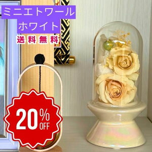 yX[p[Z[Ԃ̂20OFFz~j Gg[  {gt[vU[uht[ v[g  o a Mtg   ͂Ȃ  a ސE  j uU