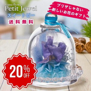 yX[p[Z[Ԃ̂20OFFzv`WG XC[gs[ {gt[vU[uht[ v[g  o a Mtg   ͂Ȃ  a ސE  j