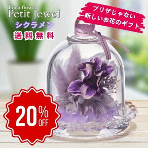 yX[p[Z[Ԃ̂20OFFzv`WG VN {gt[vU[uht[ v[g  o a Mtg   ͂Ȃ  a ސE  j 