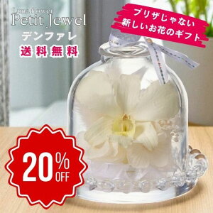 yX[p[Z[Ԃ̂20OFFzv`WG ft@ {gt[vU[uht[ v[g  o a Mtg   ͂Ȃ  a ސE  j 