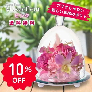 yX[p[Z[Ԃ̂10OFFz~[t[ sN {gt[vU[uht[ v[g  o a Mtg   ͂Ȃ  a ސE  j u