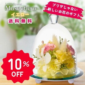 yX[p[Z[Ԃ̂20OFFz~[t[ CG[ {gt[vU[uht[ v[g  o a Mtg   ͂Ȃ  a ސE  j 