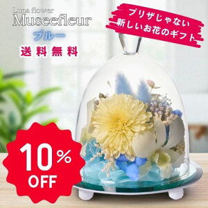 yX[p[Z[Ԃ̂10OFFz~[t[ u[ {gt[vU[uht[ v[g  o a Mtg   ͂Ȃ  a ސE  j u