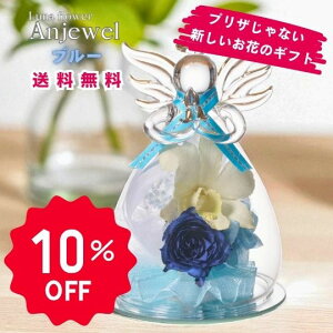 yX[p[Z[Ԃ̂10OFFzAWG u[ {gt[vU[uht[ v[g  o a Mtg   ͂Ȃ  a ސE  j u