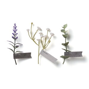 yopizt[K[h{[h ǉpt[^Oi5{j@EN075yI[EڃACez