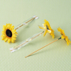 yv`MtgzЂ܂莨@4Pi//con1215yEāECz5Pʂł