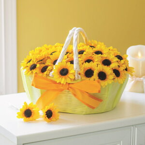 yEFJv`MtgzЂ܂莨@40Zbg//con1311yEāECz