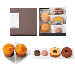 yَqz}tByAO DSM-1yĂَqEXC[cEMtgzElΉ