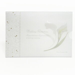 yV[Y ITALYzJ[@ҏZbgy  񎟉 1.5z