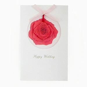 yV[Y ITALYz[Y@ҏZbgy  񎟉 1.5z