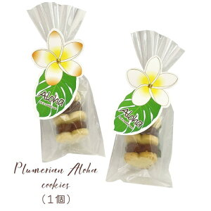 v`Mtg@vA An NbL[PBin[gNbL[5j@Aloha t_X@nCA@NbL[@ā@T}[@썑@~~@o@nCrXJX@An