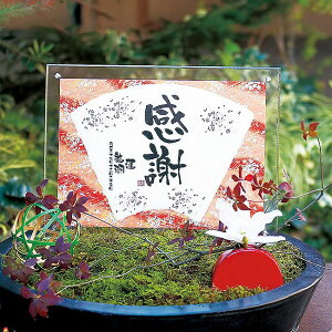 y@EFJ{[hzFTa{[h yuC_  CeAz