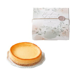 yَqzN[EhEt}[W@GM406yXC[cEĂَqEَqEMtgz