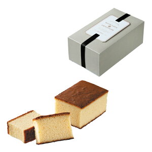 yَqz݂͂JXe@GM495yXC[cEfU[gEMtgzElΉ