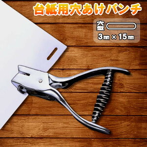 y1I|Cg5{zyV1ʊl! p` ȉ~ 3mm × 15mm   |` H RpNg P J@ U[ Ntg 10  Ɩp ANZT[ r[Y W nh