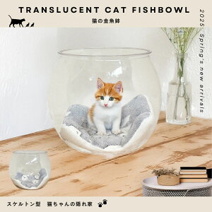 Lbg{E  XPg  PET NA f ybgxbh L Lbg 킢 tH  RpNg CeA Kȕ炵 NbVt WXgtBbg