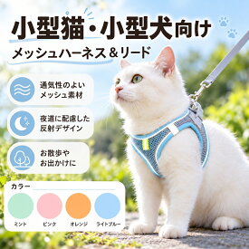 猫 ハーネス リードセット 抜けにくい 猫用 小型犬 小型ペット メッシュ 反射材付き サイズ調整可能 胴輪 お散歩 外出 XXS XS S M L ハーネス リード 猫用品