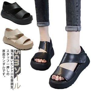 5cm\[ T_  b b Od fB[X rT_ T_ JWAV[Y L K ɂ RtH[gT_ EH[LOV[Y gAbv 