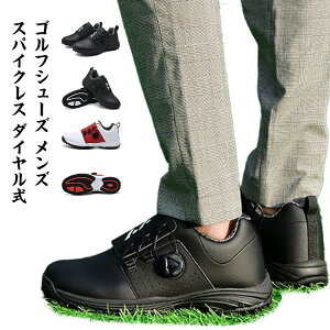 StV[Y Y XpCNX _C St V[Y Xj[J[^Cv [Jbg X|[cV[Y ϏՌ ϊ ~ h y K ʋC EH[LOV[Y JW