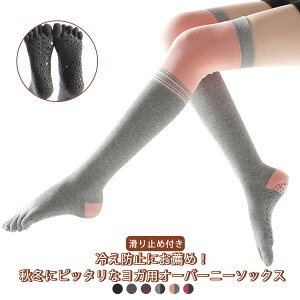  ܖ{w C K I[o[j[\bNX K\bNX ܐ悠  ₦h~ ₦ O Rbg nC\bNX fB[X K \bNX ~ߕt C g