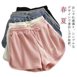 Zp [EFA bt 킢 fB[X t    V[gpc XEFbgpc  [pc ؍ t@bV 傫TCY K jO JW