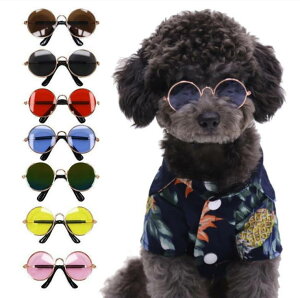 ybgpTOX p Lp ^ Kl ߂ ۊዾ Eh N[ JbRCC   t@bV  ANZT[