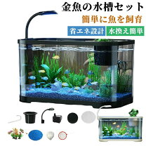 楽天市場】初心者 セット（水槽・アクアリウム｜熱帯魚・アクアリウム 