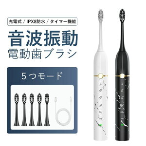 �d�����u���V �ւ��u���V2�{�t�� ���g�����u���V �����g�d���͂Ԃ炵 ���u���V 2�������莞 IPX8�h�� 180���g�p�\ 5���[�h ���i���u���V �^�C�}�[�@�\���� USB�[�d ���L�\�h ���C���� �݂͂�