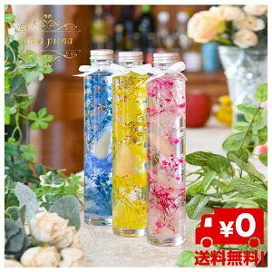 isG[ĩn[oEyVG߁zIׂ3Fav[gt[MtgjԂlCG݁􍫕T[rXIbZ[WJ[h Luna piena`s H