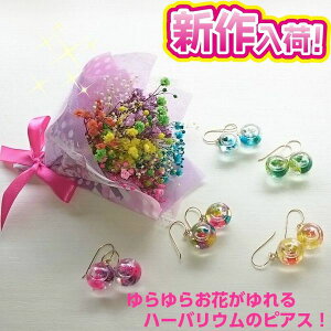 n[oEsAXIׂ5FICOOK16mmKXh[tbNsAX􂨉Ԃ瓮hIAM[t[av[gɑlC͂Ȃ