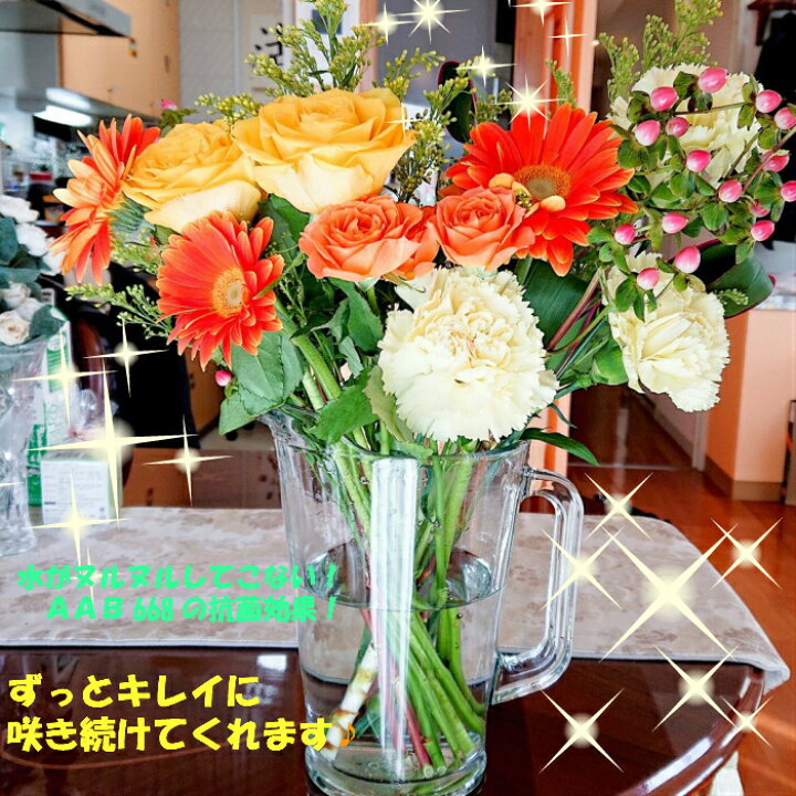 楽天市場 花瓶の水がヌルヌルしないよ 生花切り花長寿命化剤 リリフレッシュ 抗菌 液体肥料 ビックリするほど長持ち 植物栄養即効性草花野菜バラガーデニング野菜も鈴なり 仏壇の花神棚の榊立て仏花樒寄せ植え生け花の病気 水替えいらず 100倍希釈50倍希釈 b 楽天市場 花瓶の水がヌルヌルしないよ 生花切り花長寿命化剤 リリフレッシュ 抗菌 液体肥料 ビックリするほど長持ち 植物栄養即効性草花野菜バラガーデニング野菜も鈴なり 仏壇の花神棚の榊立て仏花樒寄せ植え生け花の病気 水替えいらず 100倍希釈50倍希釈 b