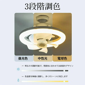�V�[�����O�t�@�����C�g LED �t�@���t���Ɩ� �V�[�����O���C�g ����E26�Ή� �啗�� �É� ���F���� ����3�i�K �p�x���� ��@ �E��/���ʏ� ���r���O �Q�� �a��