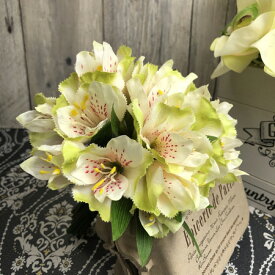 楽天市場 アルメリア 花 ガーデン Diy の通販