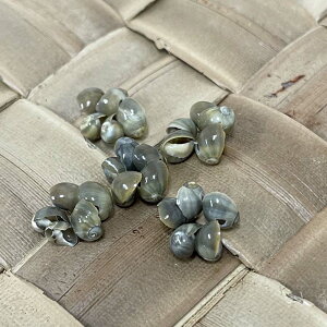 SVF@[v 311@312@[֔Ή@nCANtg@{Cp[c@ANZT[