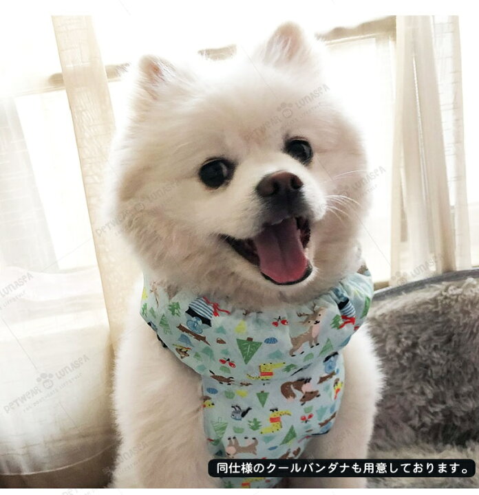楽天市場 犬クールベスト 国産保冷剤付き 新色追加 夏服クール フルクールひんやりグッズ ペット用暑さ対策 犬用猫用 熱中症対策 冷却 体冷やす Lunasea 楽天市場 犬クールベスト 国産保冷剤付き 新色追加 夏服クール フルクールひんやりグッズ ペット用暑さ対策 犬用猫用 熱中症対策 冷却 体冷やす Lunasea