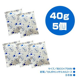 保冷剤 40g 1パック（5個）W100×D75mm