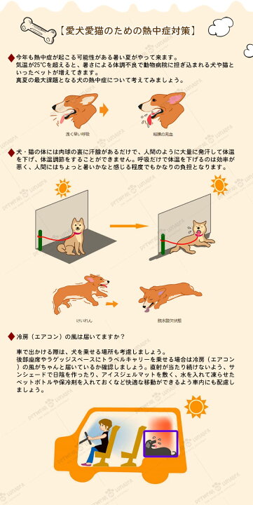楽天市場 P10倍 クーポン利用で2480円 犬クールベスト 国産保冷剤付き 新色追加 夏服クール フルクールひんやりグッズ ペット用暑さ対策 犬用猫用 熱中症対策 冷却 体冷やす Lunasea