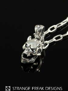 STRANGE FREAK DESIGNS[�p�����@�y���_���g](�X�J��/�V���o�[�A�N�Z�T���[/�V���o�[925/Silver925/�X�g�����W�t���[�N�f�U�C���X/�X�g�t��/�y���_���g/�l�b�N���X/�����Y/���j�Z�b�N�X/)