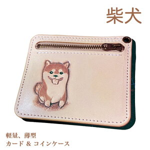 Č {v J[hP[X ꖳ J[rO Kt ^ U[ 킢 v[g Y fB[X MtgΉ