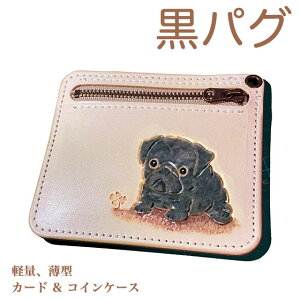 {v J[hP[X pO ubN  ꖳ J[rO Kt ^ U[ 킢 v[g Y fB[X MtgΉ