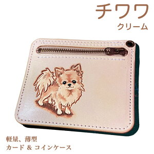 ` {v J[hP[X ꖳ J[rO Kt ^ U[ 킢 v[g Y fB[X MtgΉ