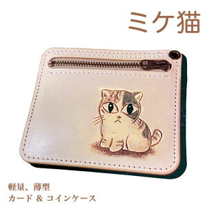 J[hP[X {v ꖳ ˂ OєL J[rO Kt ^ U[ 킢 v[g Y fB[X MtgΉ