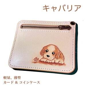 LoA unC {v J[hP[X ꖳ J[rO Kt ^ U[ 킢 v[g Y fB[X MtgΉ