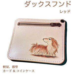 {v J[hP[X _bNXth O bh ꖳ J[rO Kt ^ U[ 킢 v[g Y fB[X MtgΉ